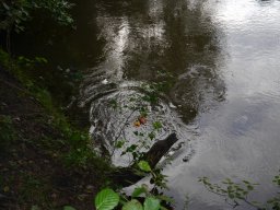 P3770811